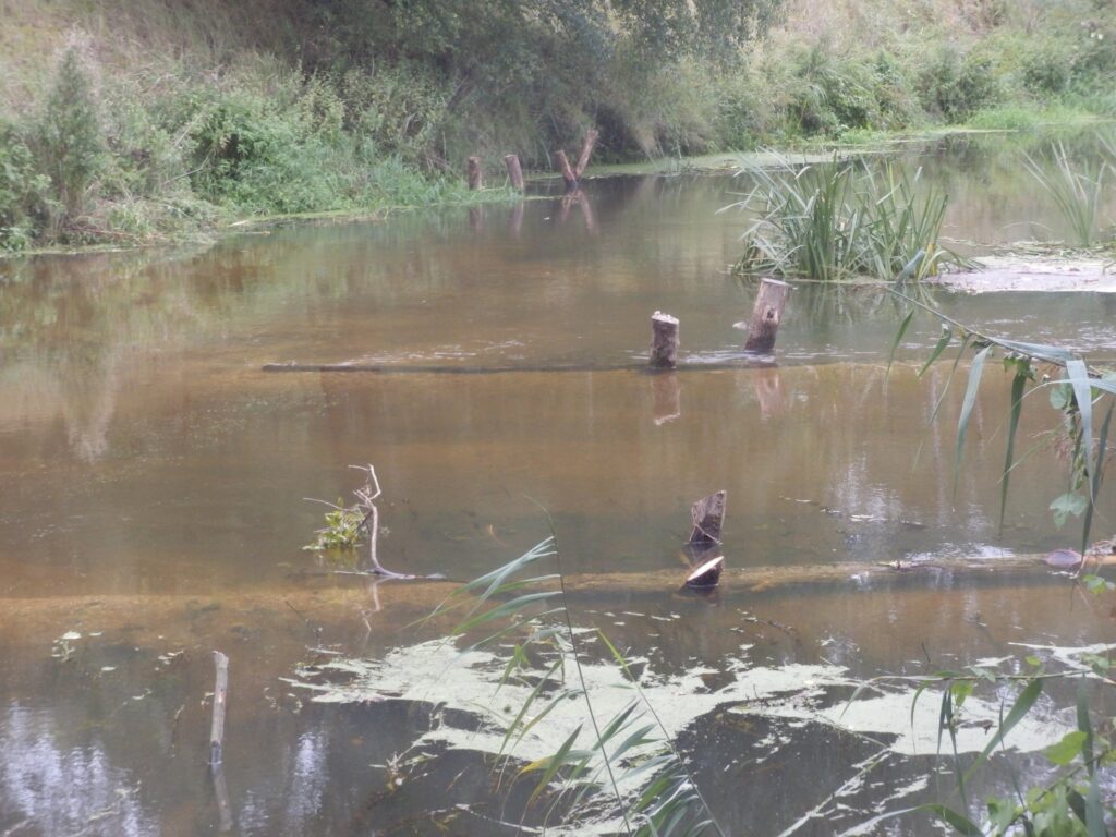 Zur Einengung des übergroßen Profils wurden Stammhölzer aus Eichen bis zur Hälfte in das Gewässer eingebaut. Die Holzstämme werden bereits bei mittleren Wasserständen überspült.